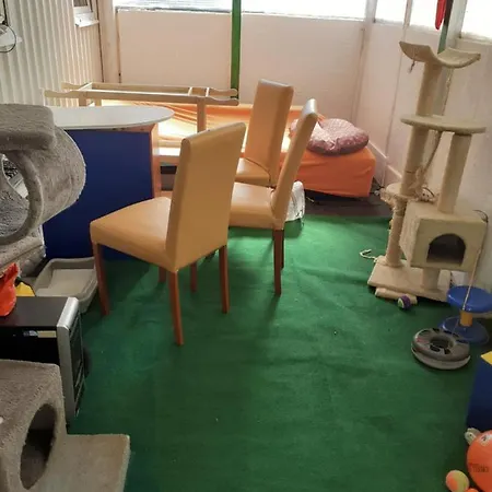 Cozy Small House On The Beach For Pet Lovers بيت للعطل