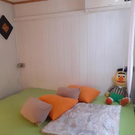 Cozy Small House On The Beach For Pet Lovers بيت للعطل